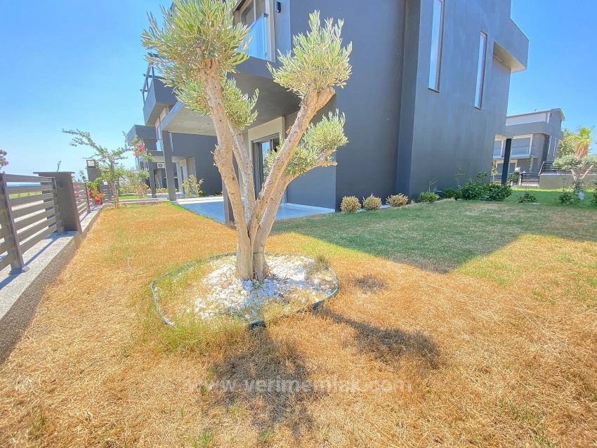 3+1 Freistehende Villa Zum Verkauf In Seferihisar Sakız Ağacı, Direkt Am Meer, Mit Modernem Design.