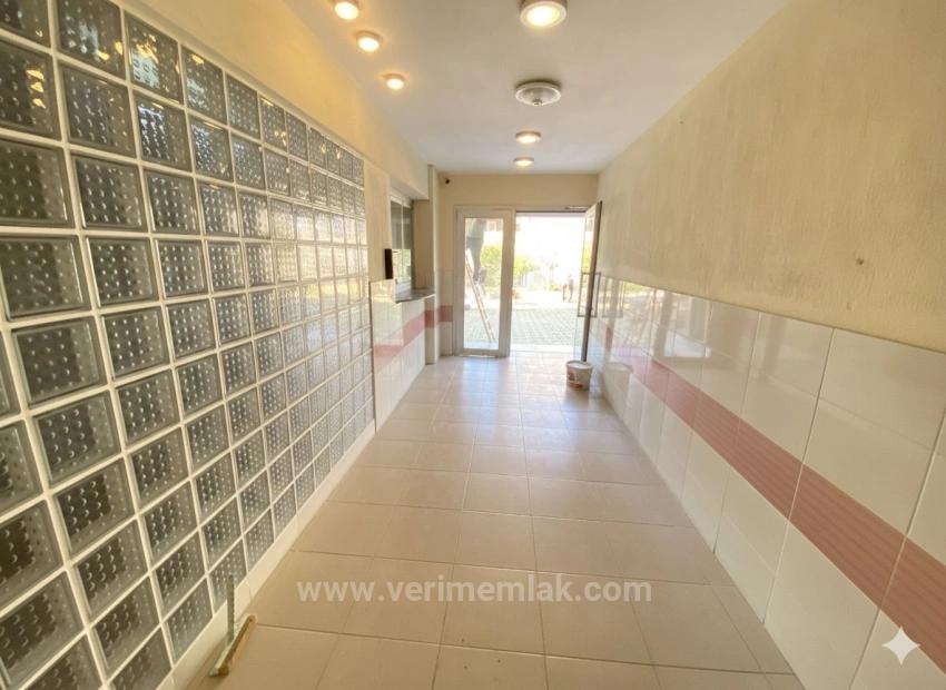 1+1-Apartments Zum Verkauf In Ürkmez, 50 M Vom Meer Entfernt, In Zentraler Lage