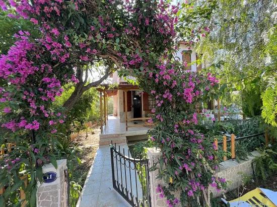 In Özderede, 2 Minuten von der See entfernt, geräumige Villa mit großem Garten, 3+1 Zimmer, zum Verkauf