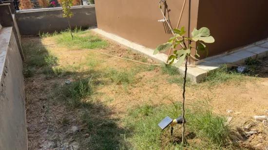 Seferihisar Doğanbey In der Cumhuriyet Nachbarschaft nahe dem Meer 3+1 Luxusvilla