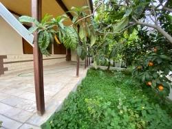 Zu Verkaufen: Ein Komplettes Gebäude Mit 14 Wohnungen, 100 M Vom Meer Entfernt, In Bengiler, Seferihisar! Ideal Als Kapitalanlage!