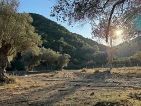Izmir Güzelbahçe Elektrische Wasserstrasse Zum Verkauf Ab Eigentumsurkunde Verfügbar