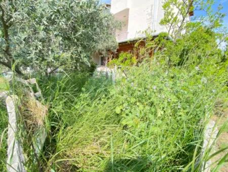 3 1 Sommerhaus Zum Verkauf Mit Großem Garten In Ecklage In Doğanbey