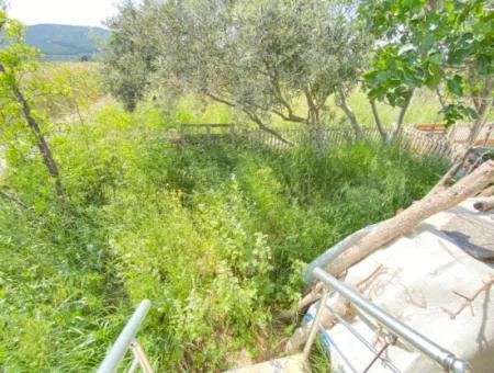 3 1 Sommerhaus Zum Verkauf Mit Großem Garten In Ecklage In Doğanbey