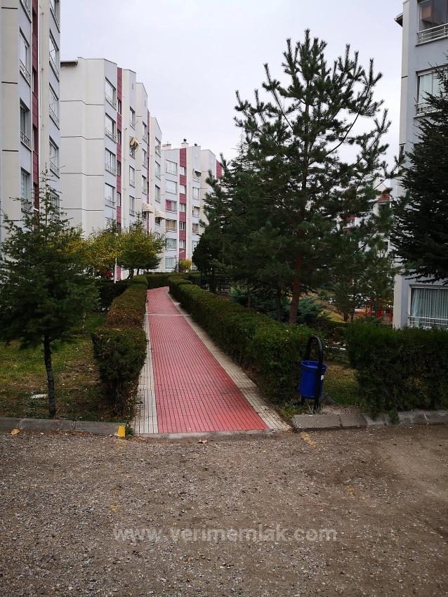 3+1 Apartment For Sale In Ankara Batıkent Batısitesi, No Additional Renovation Needed, Mid-Floor, Adjacent To Social Amenities.