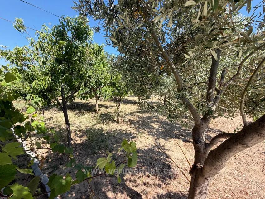 In Seferihisar Republic, 650M To The Sea, 4+1 Spacious Garden Luxury Villa For Sale!