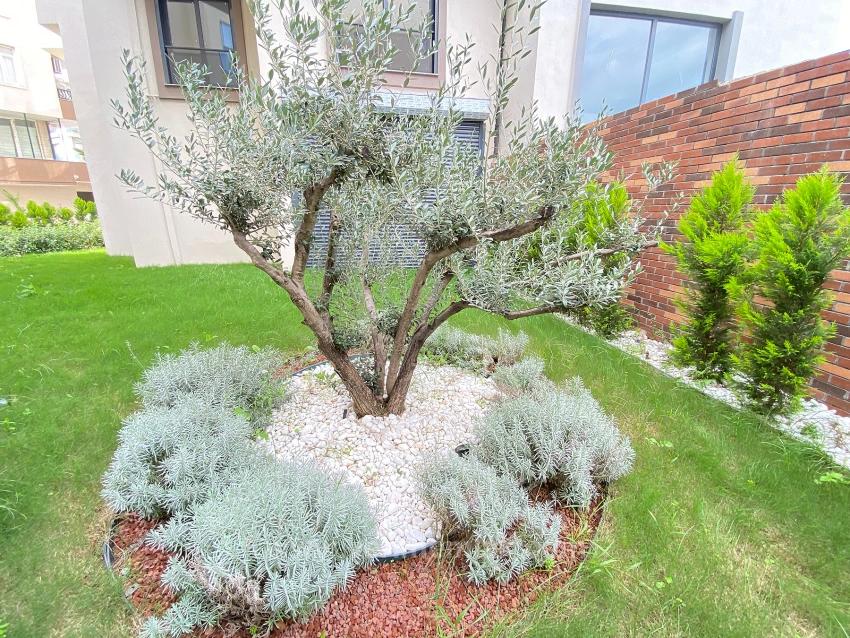 2+1 Flat For Sale On 2 Floors With Elevator In The Market Center Of Gumuldur