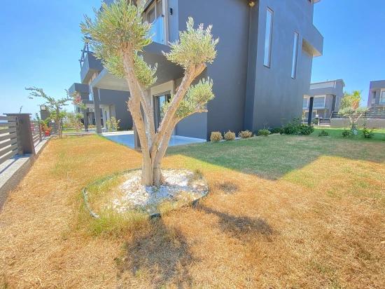 3+1 Detached Villa For Sale In Seferihisar Sakız Ağacı, Right On The Seafront, With Modern Design.