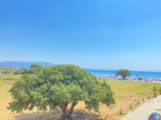 3+1 Detached Villa For Sale In Seferihisar Sakız Ağacı, Right On The Seafront, With Modern Design.