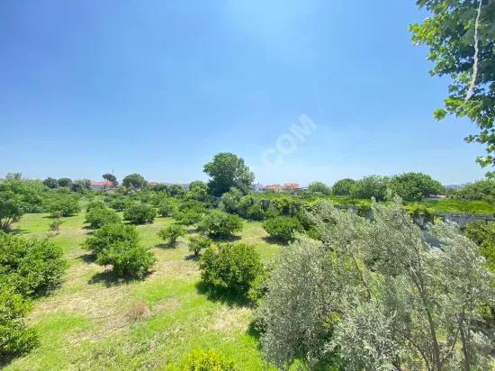 Seferihisar Mersin Area Neighbourhood 500m from the Sea for Sale 3+1 Flat