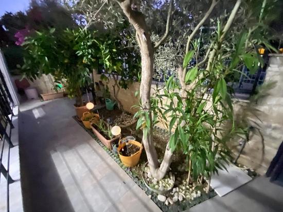 Ürkmez Seaside Middle Floor 2+1 Furnished Annual Rental Flat