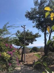 Magnificent 3+1 Villa For Sale In Doğanbey With A Large Garden And No Expenses