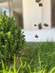 Özdere Çukuralaltı Central Location 3+1 Summer House For Sale With Parking