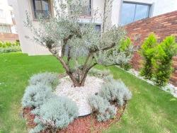 2+1 Flat For Sale On 2 Floors With Elevator In The Market Center Of Gumuldur