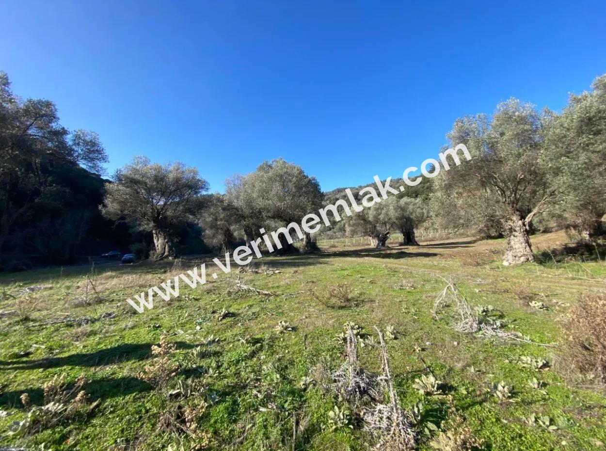 Izmir Güzelbahçe Electric Waterway Available For Sale From Title Deed