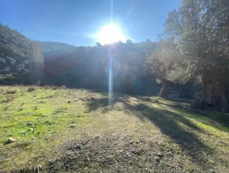 Izmir Güzelbahçe Electric Waterway Available For Sale From Title Deed