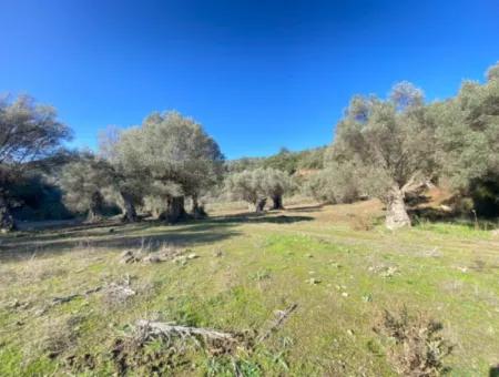 Izmir Güzelbahçe Electric Waterway Available For Sale From Title Deed