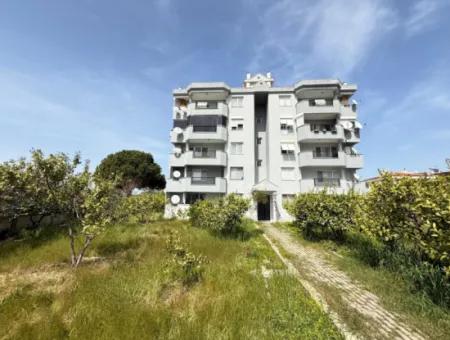 Spacious 3 1 Apartment With Elevator For Sale At An Affordable Price In Ürkmez