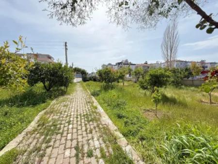 Spacious 3 1 Apartment With Elevator For Sale At An Affordable Price In Ürkmez