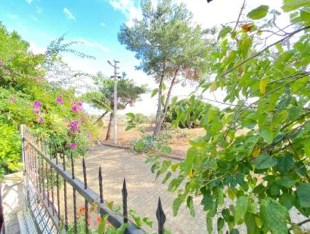 3 1 Villas For Sale With Large Garden In Doğanbeyde Without Cost