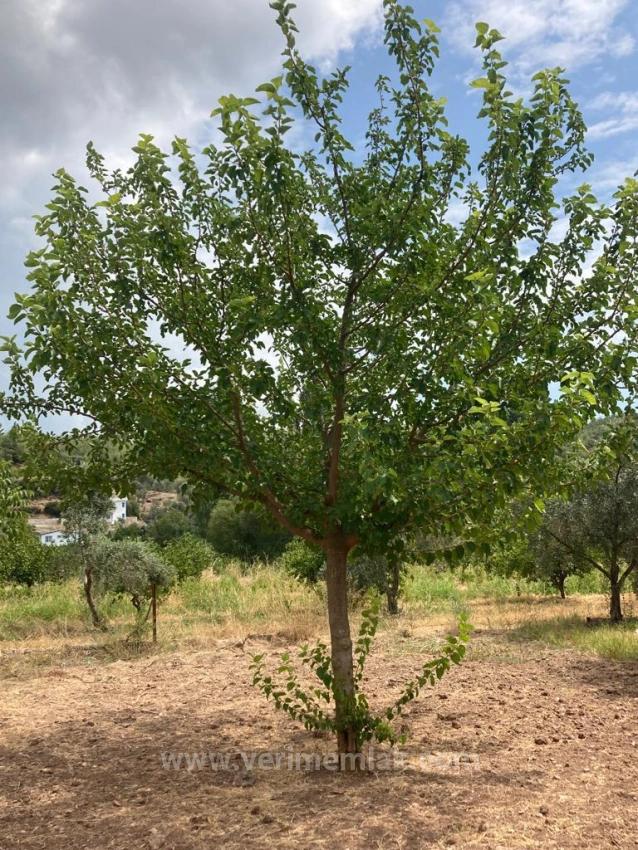 Продаётся Квартира 3+1 В Уркмезе, Рядом С Морем, С Лифтом, В Центре Рынка