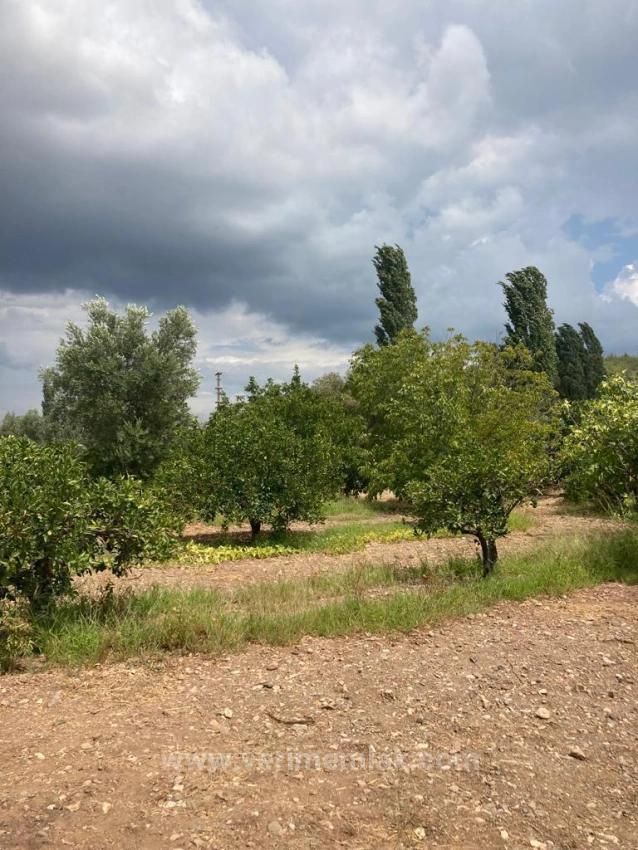 Продаётся Квартира 3+1 В Уркмезе, Рядом С Морем, С Лифтом, В Центре Рынка