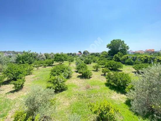 Сеферихисар Мерсин Alanı квартале у моря 500м Продается 3+1 Квартира