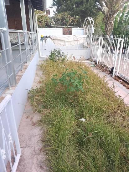 Вилла 3+1 На Продажу В Уркмезе, 50 М От Моря