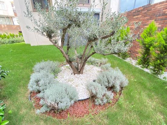 Продается Квартира 2+1 На 2 Этажах С Лифтом В Торговом Центре Гумулдура