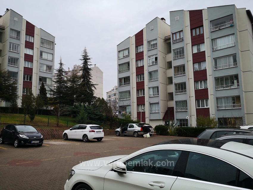 Ankara Batıkent Batısitesi’nde Masrafsız,Ara Kat,Sosyal Olanaklara Komşu Satılık 3+1 Daire