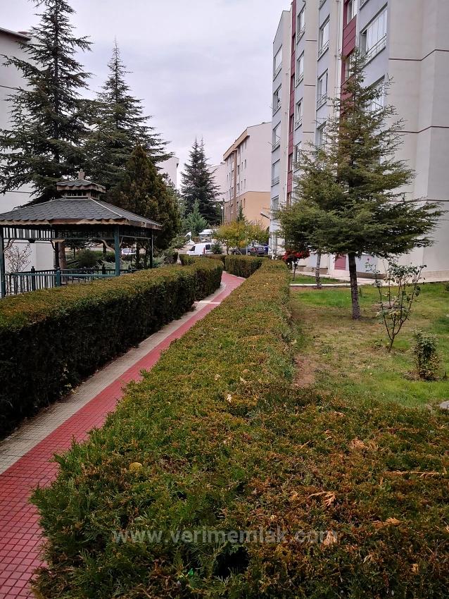 Ankara Batıkent Batısitesi’nde Masrafsız,Ara Kat,Sosyal Olanaklara Komşu Satılık 3+1 Daire