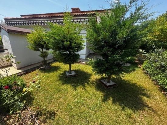 Urla Kuşçular’da Akıllı Ev Teknolojili, Tam Müstakil & Havuzlu Ultra Lüks 5+1 Villa