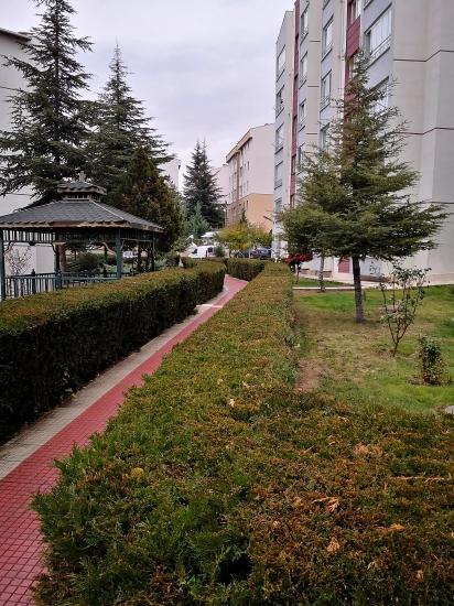 Ankara Batıkent Batısitesi’nde Masrafsız,ara Kat,sosyal Olanaklara Komşu Satılık 3+1 Daire