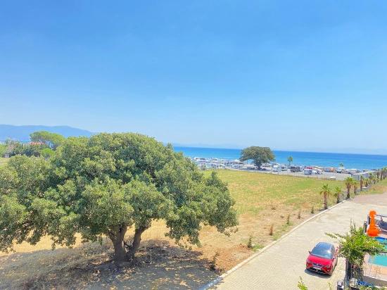 Seferihisar Sakız Ağacı'nda Denize Sıfır, Modern Tasarımlı Satılık 3+1 Müstakil Villa