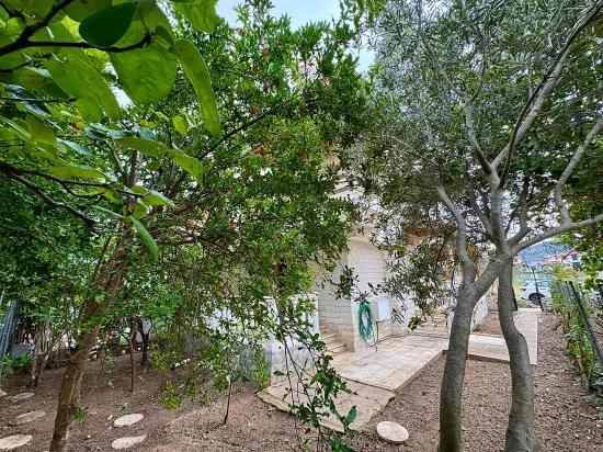 Seferihisar Cumhuriyet Mah.'de denize 750m havuzlu, meyve bahçeli satılık 4+1 Villa