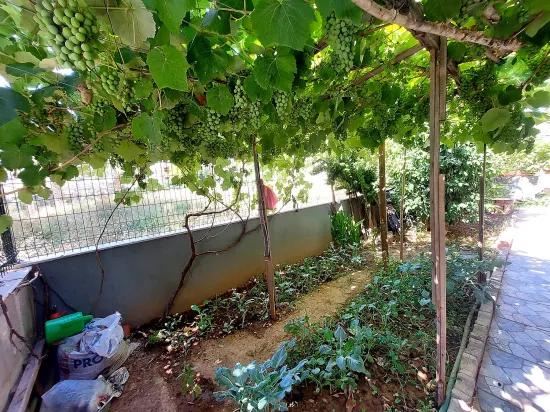 İzmir Seferihisar Ürkmez merkeze yakın satılık 1+1 daire