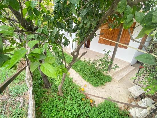 Ürkmez De Deniz Tarafında Mustakil Bahçeli Kiralık 3+1 Yazlık