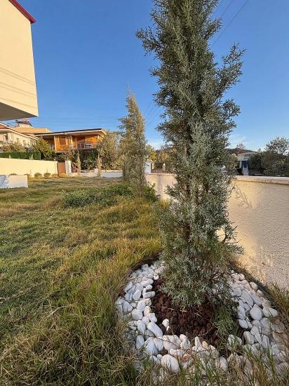Doğanbey Payamlı Da Geniş Bahçeli Sıfır 3+1 Satılık Villa