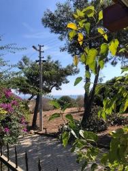 Seferihisar Atatürk Mahallesi’deniz Manzaralı, Meyve Bahçeli Müstakil Satılık 3+1 Villa