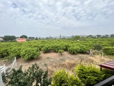 Ürkmez De Mustakil Denize Yakın Lüks Bahçeli Satılık  3+1 Villa