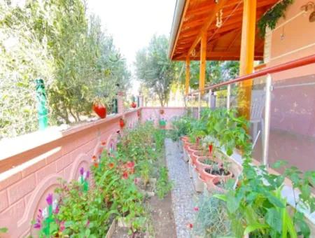 Doğanbey De Tek Mustakil Geniş Bahçeli  Masrafsız Satılık 3+1 Villa