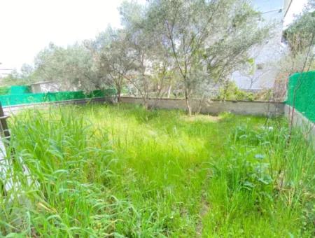 Seferihisar Doğanbeyde Denize 500Mt Satilik 3+1 Villa