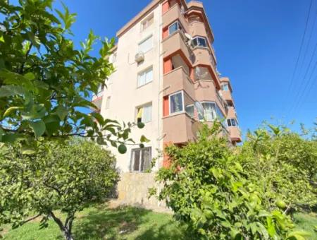 Ürkmez'de Plaja 300M Mesafede 130M2 Ayrı Mutfaklı Satılık 3+1 Daire