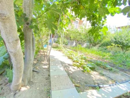 Doğanbey De Köşe Villa Tek Müstakil Geniş Bahçeli Ultra Lükx Satılık 4+1 Villa