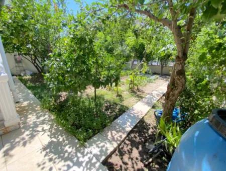 Doğanbey De Köşe Villa Tek Müstakil Geniş Bahçeli Ultra Lükx Satılık 4+1 Villa