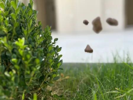 Özdere Çukuraltı Merkezi Konum Otoparklı Satılık 3+1 Villa