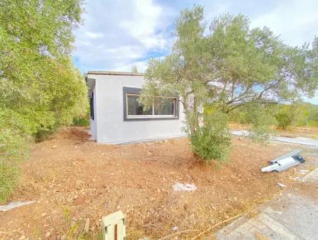 Kavakderede 250 Mt Arsa İçersinde Tek Müstakil Bahçeli Satılık 2+1 Ev